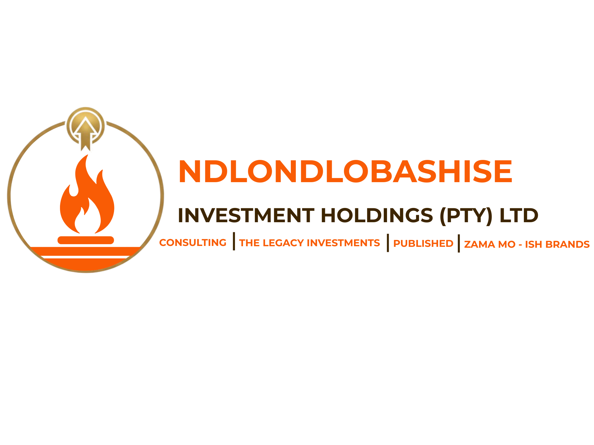 NDLONDLOBASHISE INVESTMENT HOLDINGS (PTY) LTD logo
