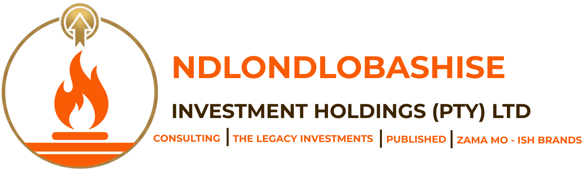 NDLONDLOBASHISE GROUP logo